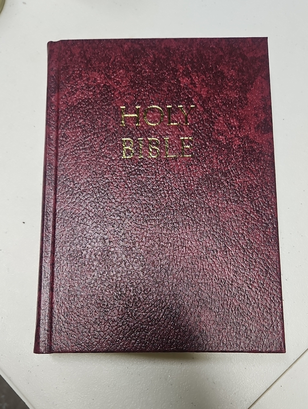 Burgundy Fireside School and Church Edition Large Print Holy Bible